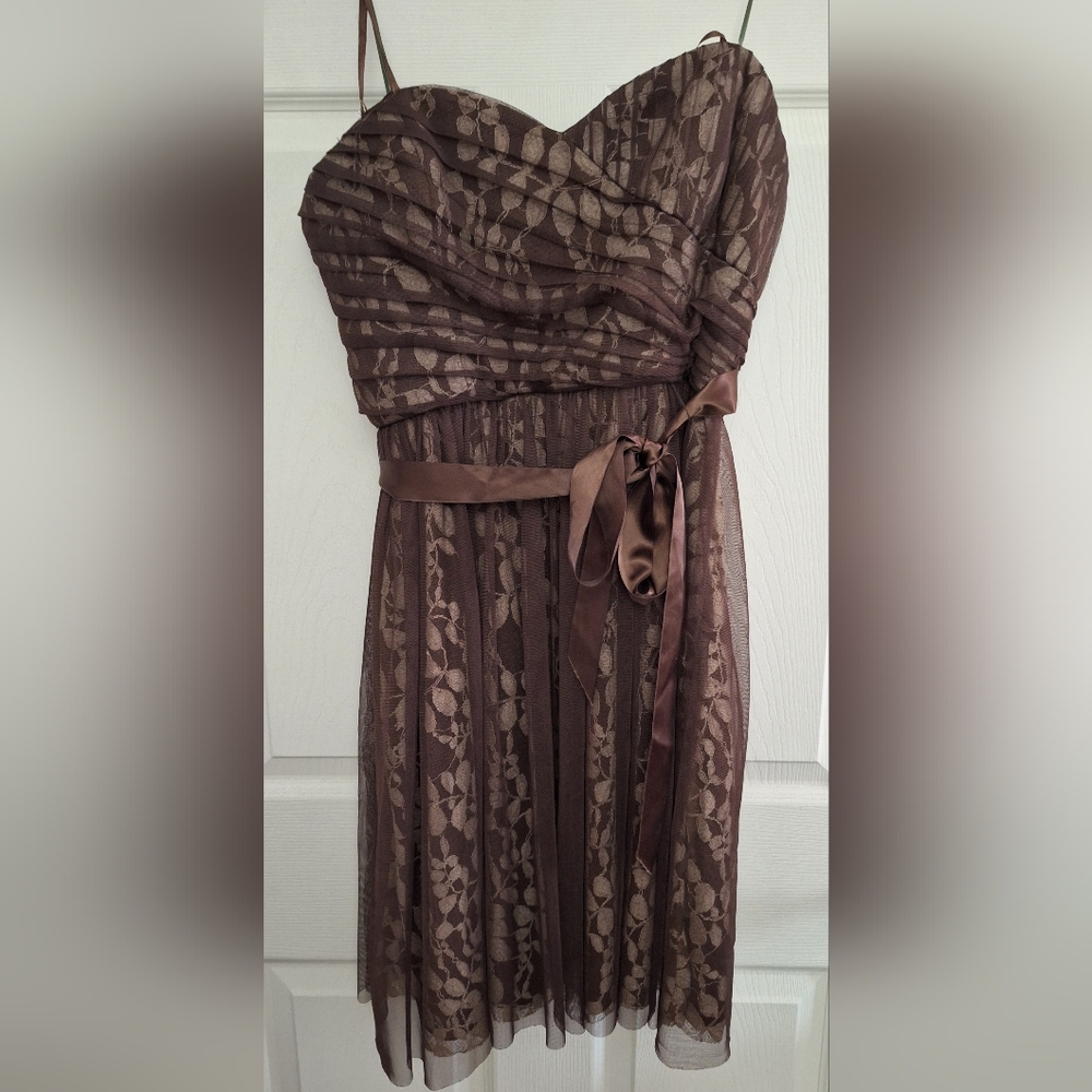 Max And Cleo Espresso Brown Strapless Party Dress Size 10 Mesh Overlay Belted